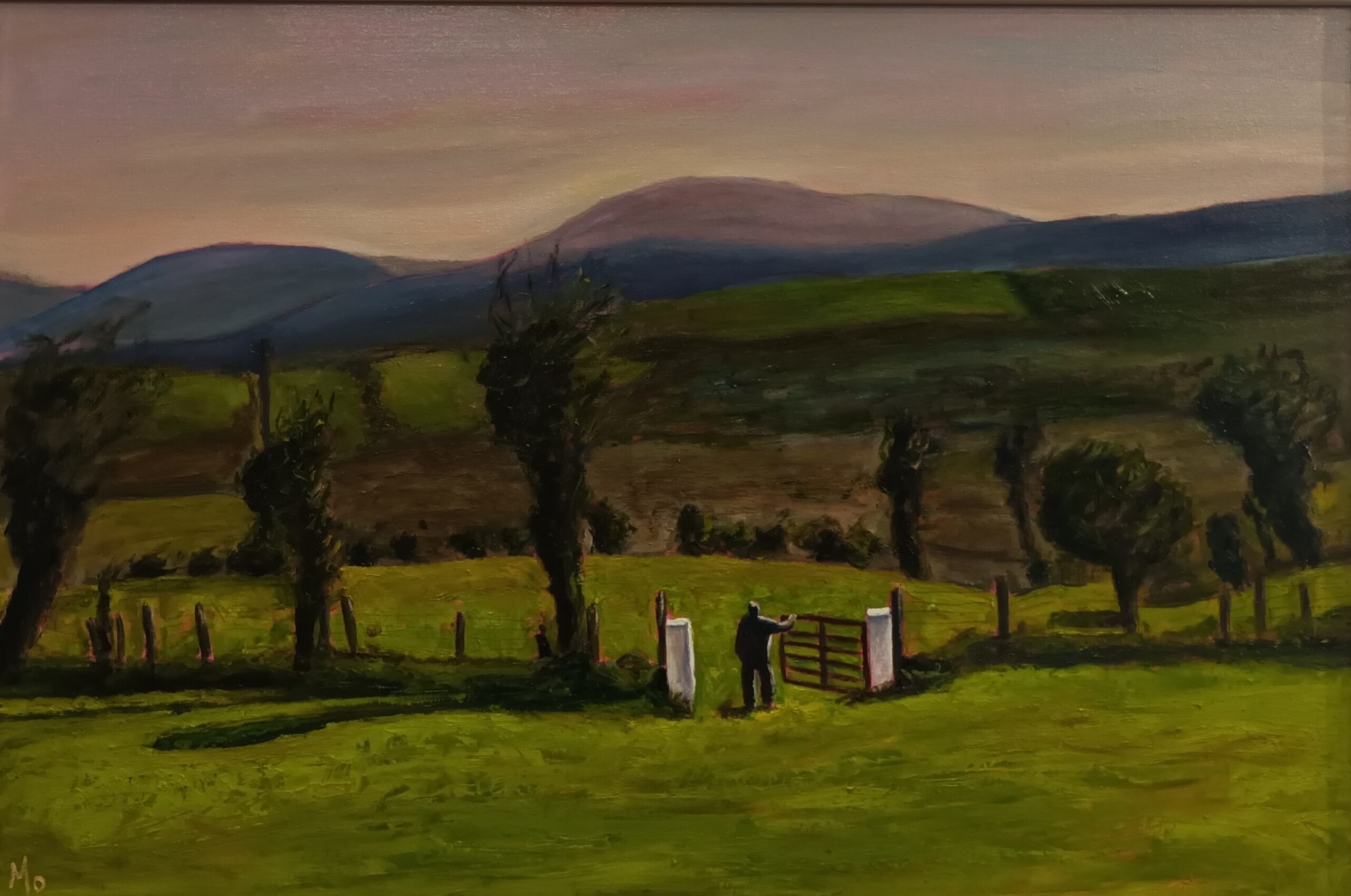Original Irish Art Farmer standing at the gate surveying his land