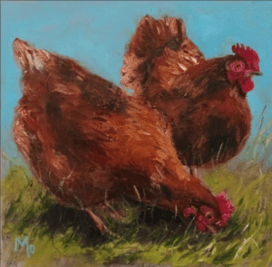 Rhode Island Red Hens having breakfast